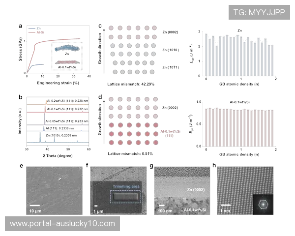 医疗康复机构引入超高清运动分析，拓展体育技术外延。